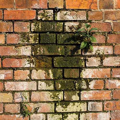Mortar Repair